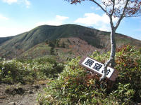 IMG_2056.jpg