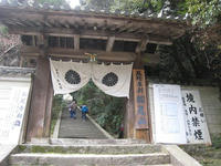 IMG_2440.jpg