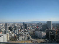 IMG_2469.jpg