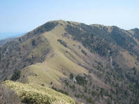 IMG_2693.jpg
