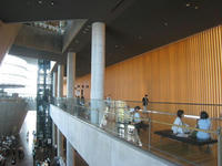 IMG_2960.jpg
