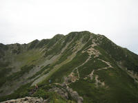 IMG_3302.jpg