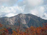 IMG_3378.jpg