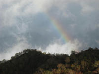 IMG_3386.jpg