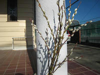IMG_3679.jpg