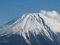 IMG_3750.jpg