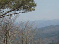 IMG_3862.jpg