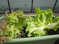 f2b9b841.JPG
