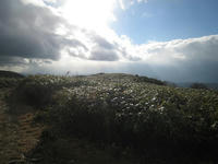 5f129654.JPG