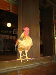 71927ec6.jpeg