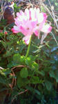 200812161601001.jpg