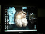 0f5a7312.jpg