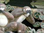 DSCN0312.JPG