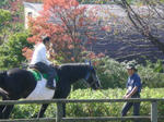DSCN0404.JPG