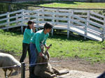 DSCN0409.JPG