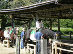 DSCN0398.JPG
