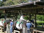 DSCN0399.JPG
