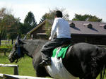 DSCN0402.JPG