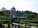 DSCN0403.JPG