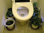 DSCN0566.JPG