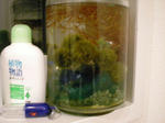 DSCN0567.JPG