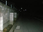 DSCN0570.JPG
