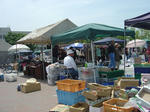 DSC00052.JPG