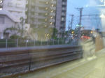 DSC00063.JPG