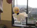 DSC00082.JPG