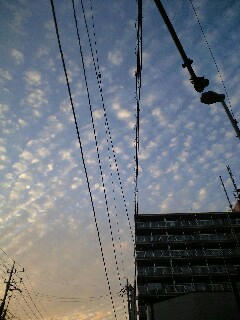 071022_1640~0001.jpg