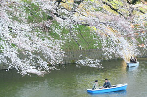 IMG0001_28.jpg