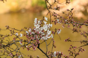 IMG0001_35.jpg
