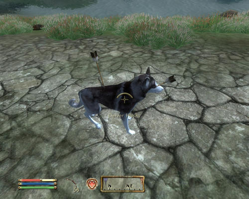ScreenShot182s.jpg