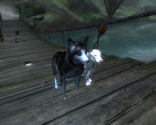 ScreenShot183s.jpg