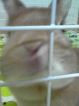 080907_2141~01.JPG