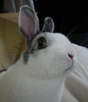 resize0033.jpg