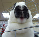 resize0075.jpg