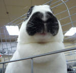 resize0076.jpg