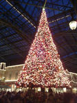 20091220336.JPG