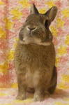 SH3E0035.JPG