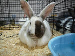 resize0102.jpg