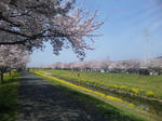 resize0260.jpg