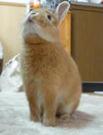 resize0279.jpg