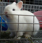 resize0284.jpg