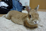 resize0291.jpg
