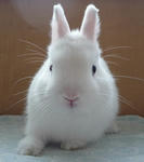 resize0300.jpg