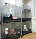 resize0306.jpg
