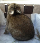 resize0309.jpg