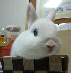 resize0345.jpg