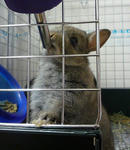 resize0347.jpg